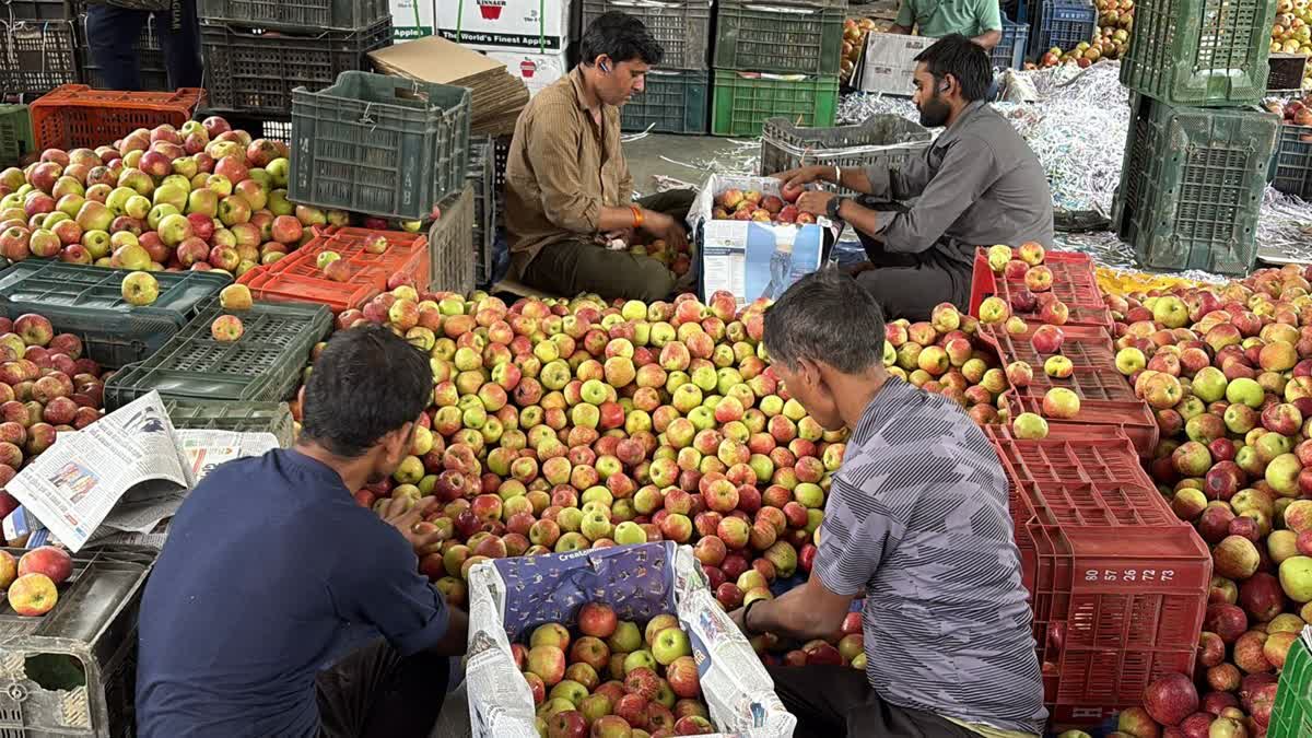 मंडी मध्यस्थता योजना के तहत 3 सालों में सरकार ने की सेब की इतनी खरीद