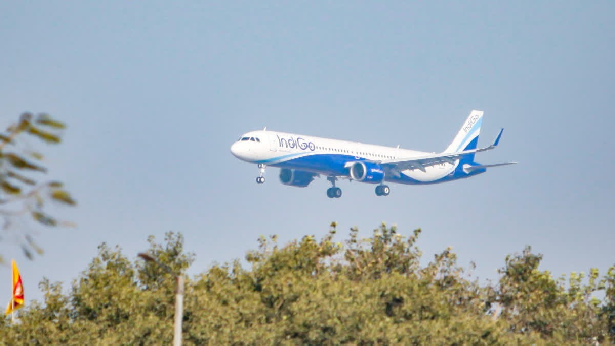 Decision To Look Into IndiGo Issue Taken After Initial Assessment: CCI Chief Ravneet Kaur INDIGO FLIGHT CANCELLATIONS
