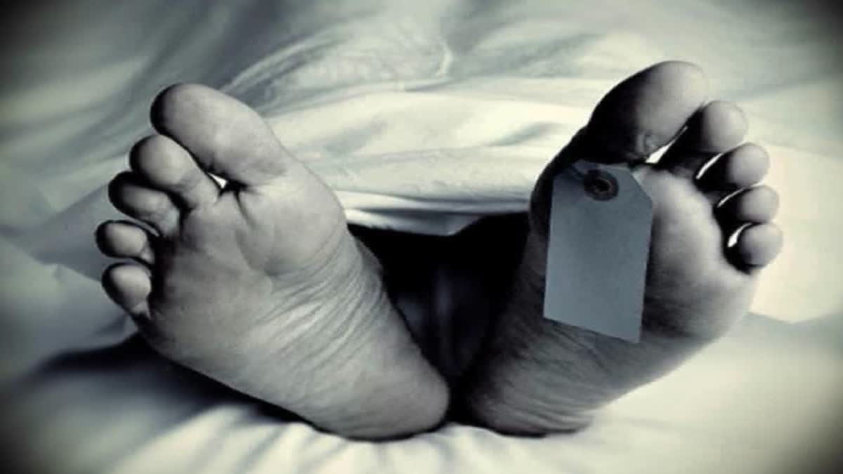 Prisoner From Punjab Dies By Suicide In Haryana's Karnal Jail