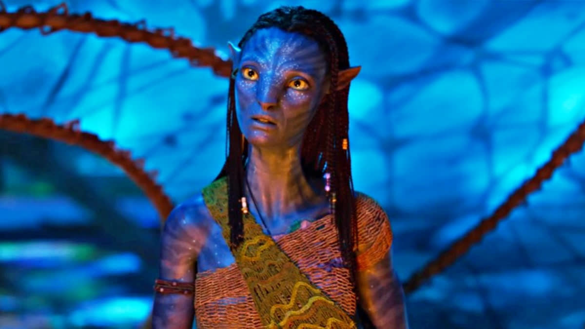 Avatar Fire And Ash Box Office Collection Day 1