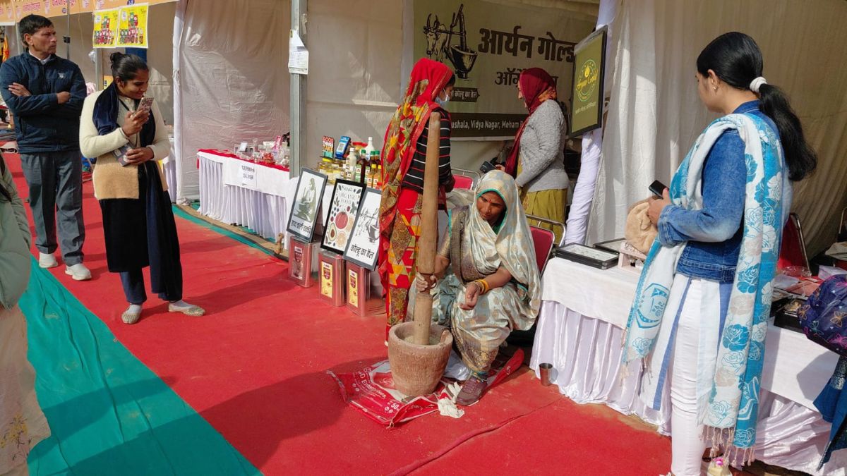 Swadeshi Fair in Bhiwani
