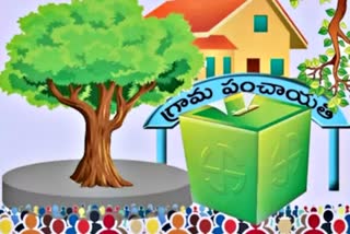 Candidates Who Lost in the Sarpanch Elections and Ended up in Debt