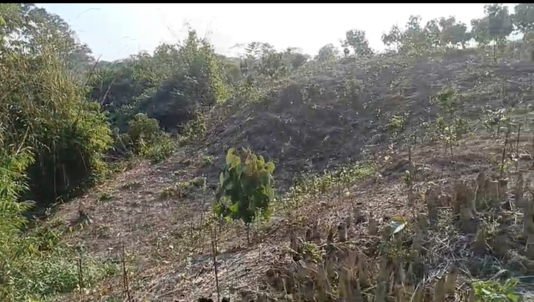 Assam-Nagaland border