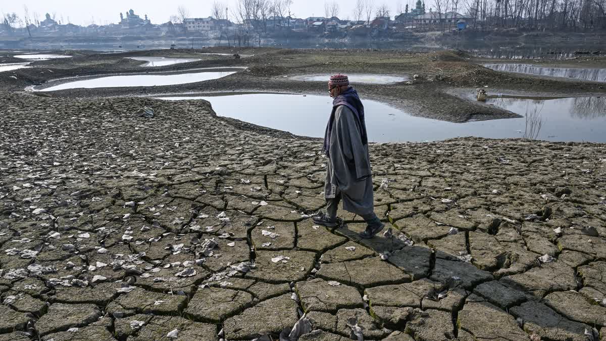 A man walks through parched Jhelum in Srinagar, Jammu and Kashmir