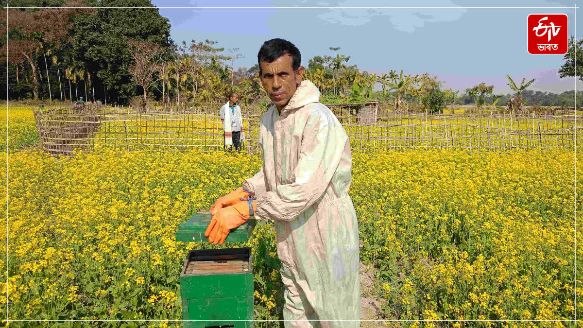 Farmers from Dhemaji become self reliant by beekeeping