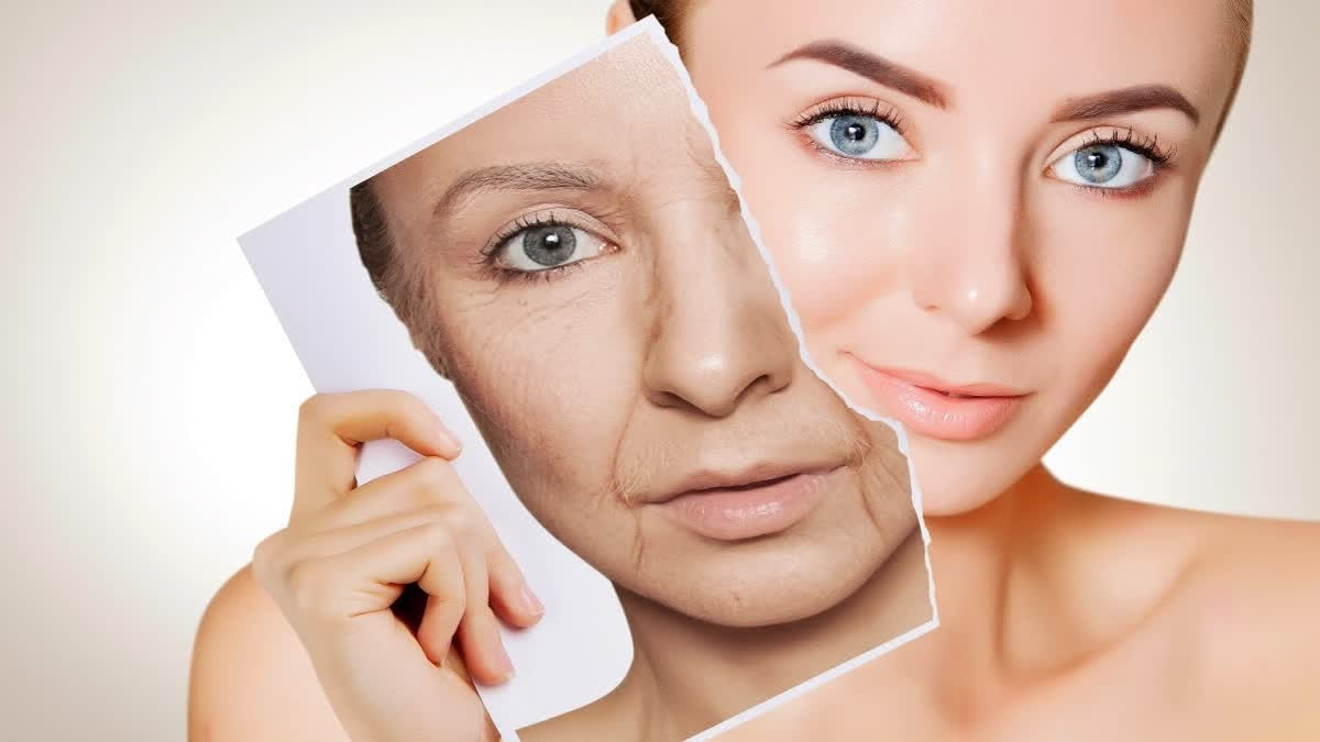 Anti ageing