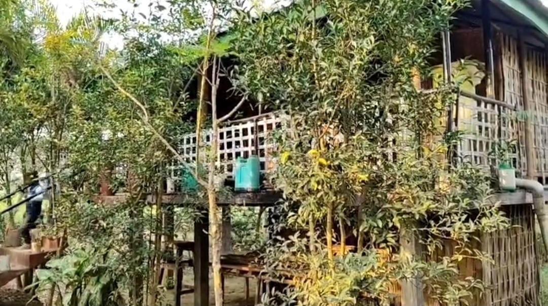 Haren Kalita of Namati Sivasagar self-reliant through farming