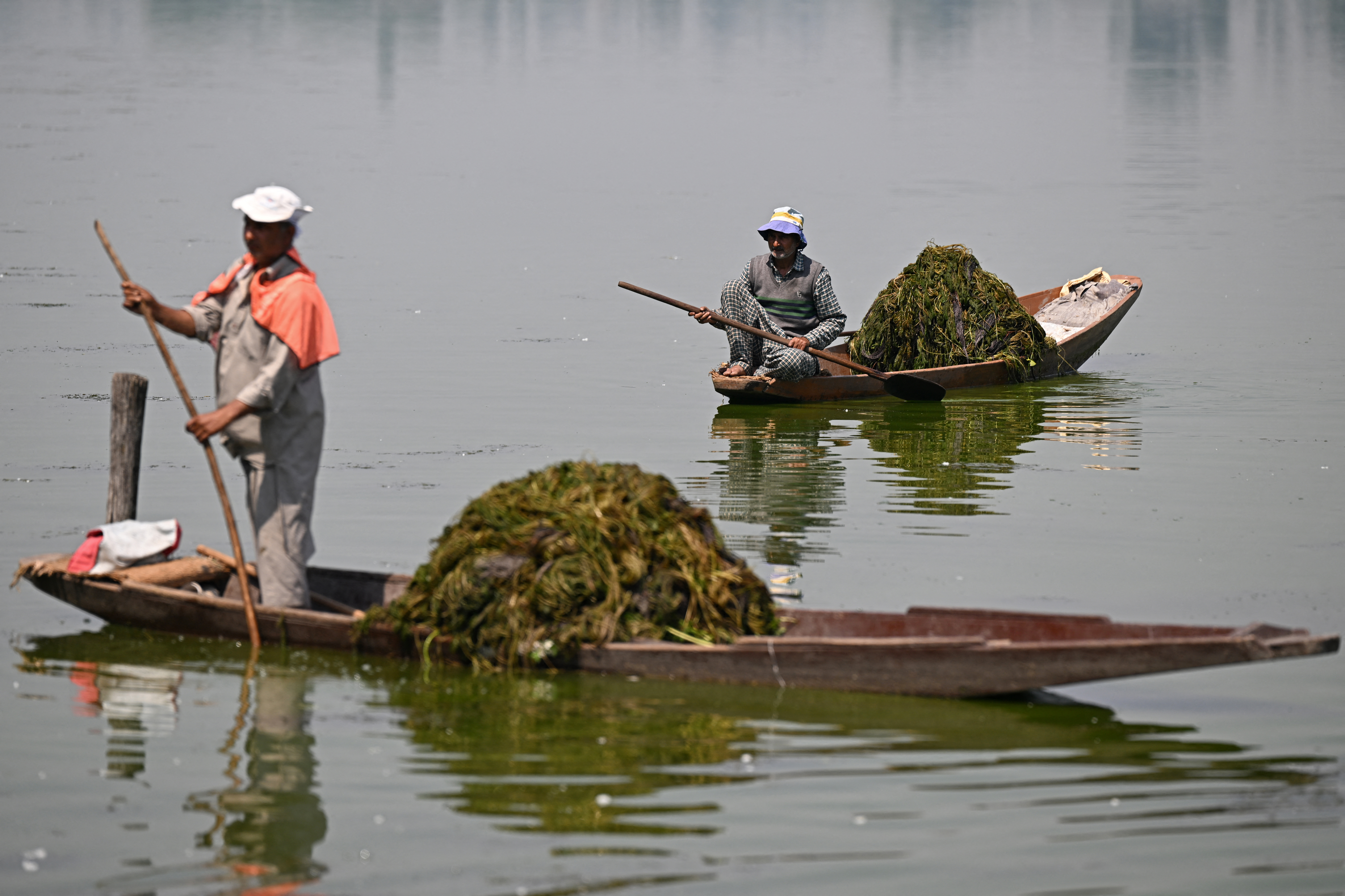Boatmen clear the Dal Lake of weeds in Srinagar