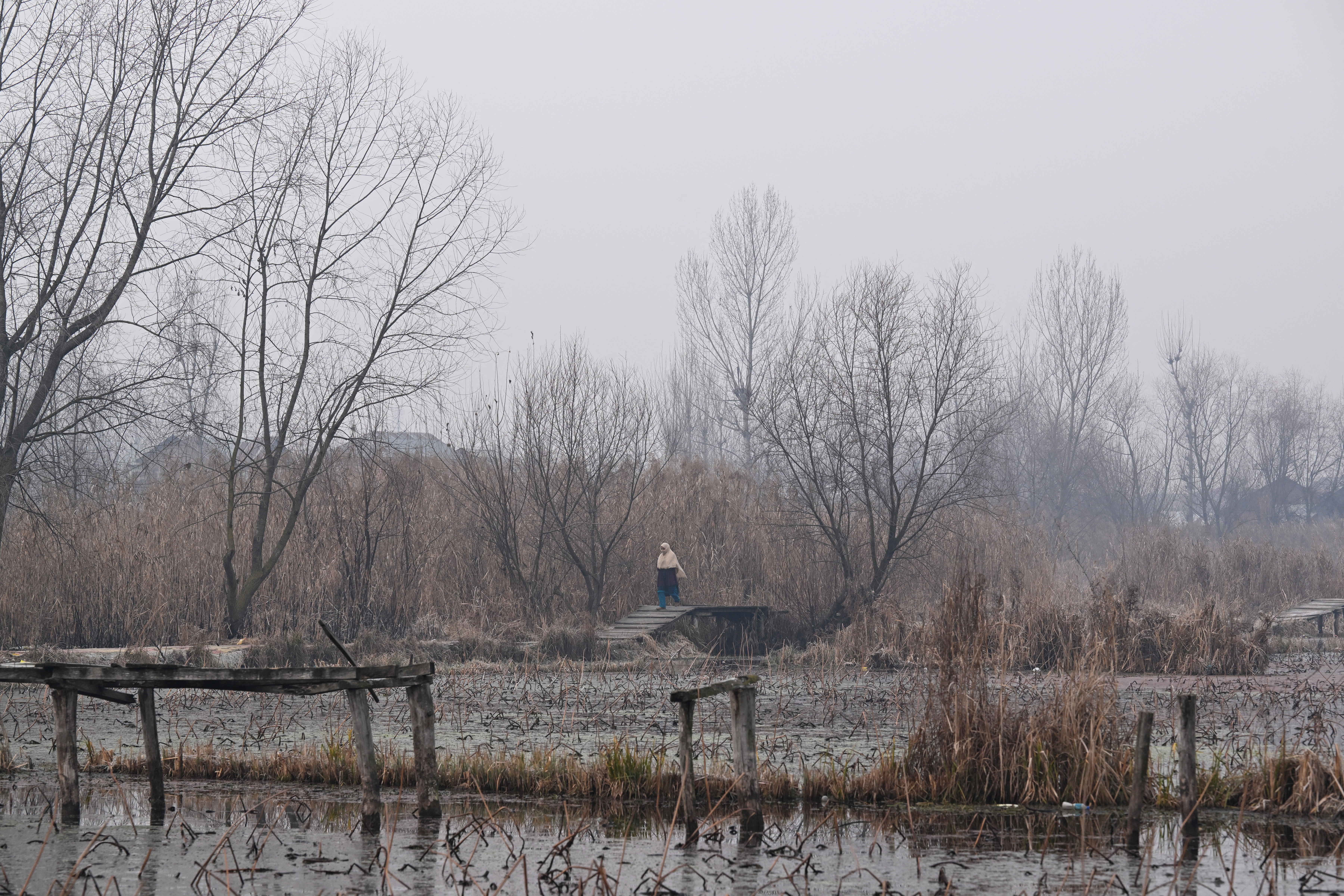 A woman crosses a foot bridge over the Dal Lake on a cold morning in Srinagar