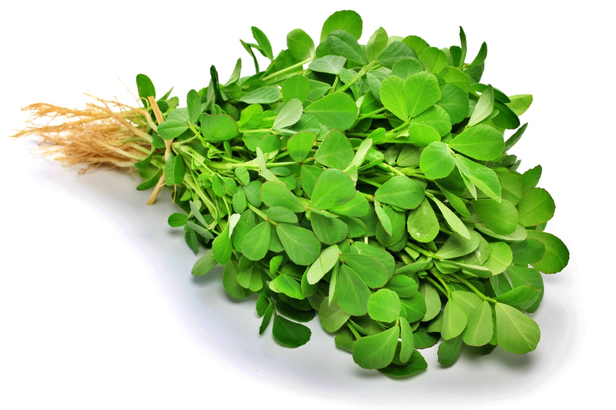 Fenugreek leaves (methi)