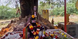 Strange Incident Narendrudu On Shivalingam