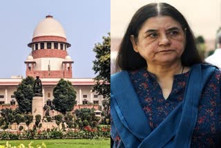 SC Slams Maneka Gandhi