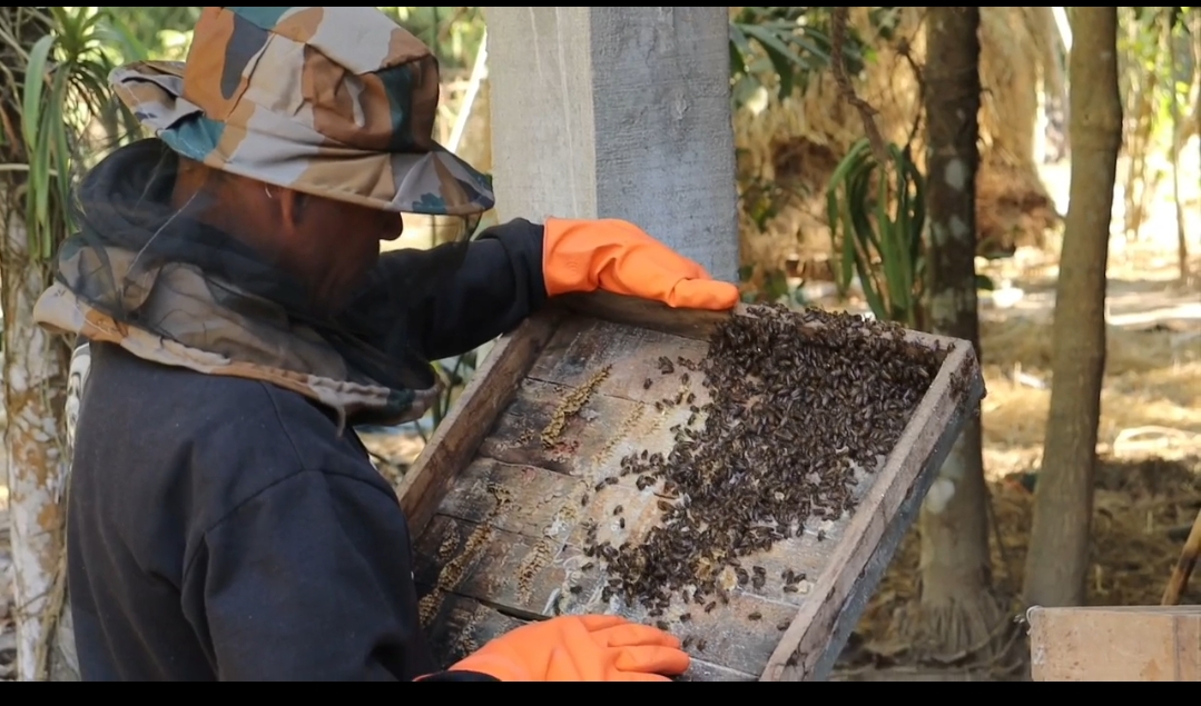 Farmers from Dhemaji become self reliant by beekeeping