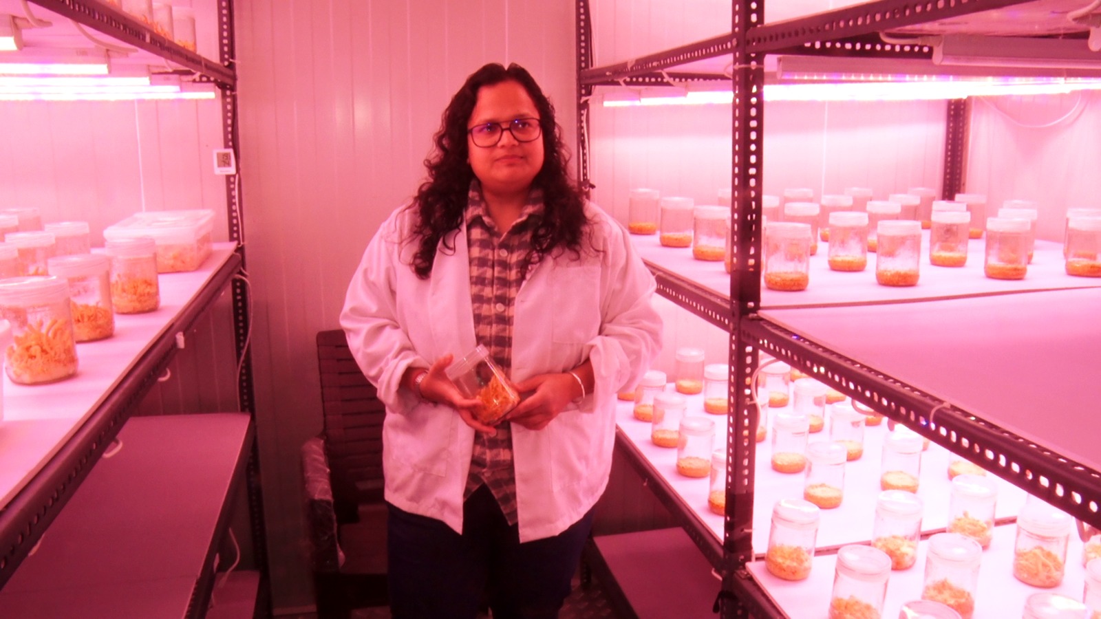 Bhopal Girl Mushroom Farming