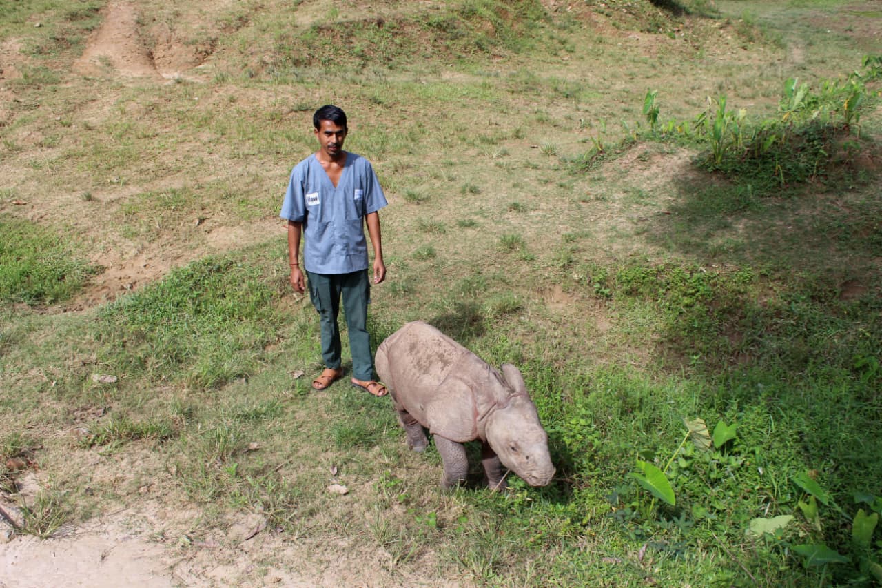 Kaziranga national park