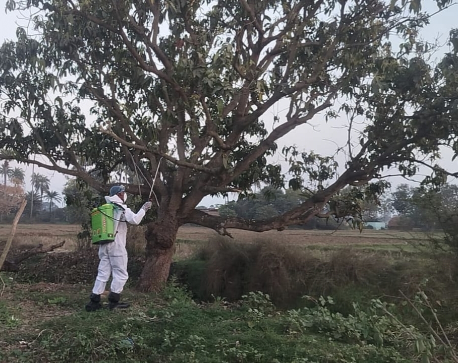 Bird Flu Outbreak Confirmed In Bihar After Hundreds Of Crows Found Dead ...