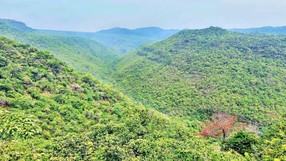 https://imgs.etvbharat.com/etvbharat/prod-images/20-02-2026/1200-675-26083215-thumbnail-16x9-telangana-aspera.jpg