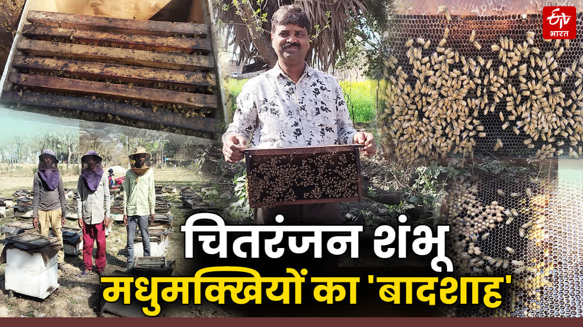BIHAR MAN IS THE OWNER OF MORE THAN 2 CRORE BEES, EARNING RS 30 LAKH ANNUALLY