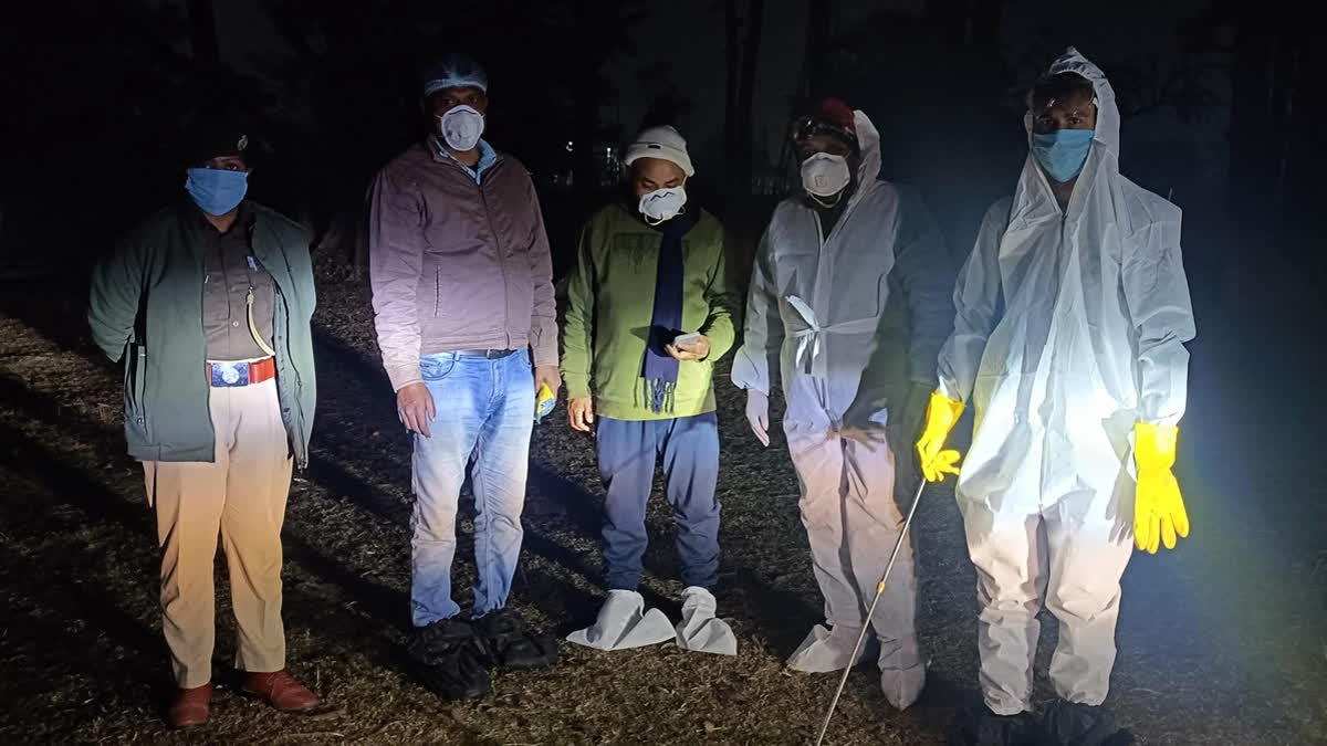 Bird Flu Outbreak Confirmed In Bihar After Hundreds Of Crows Found Dead ...