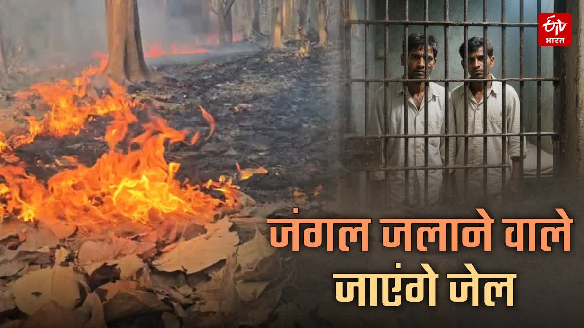 UTTARAKHAND FOREST FIRE