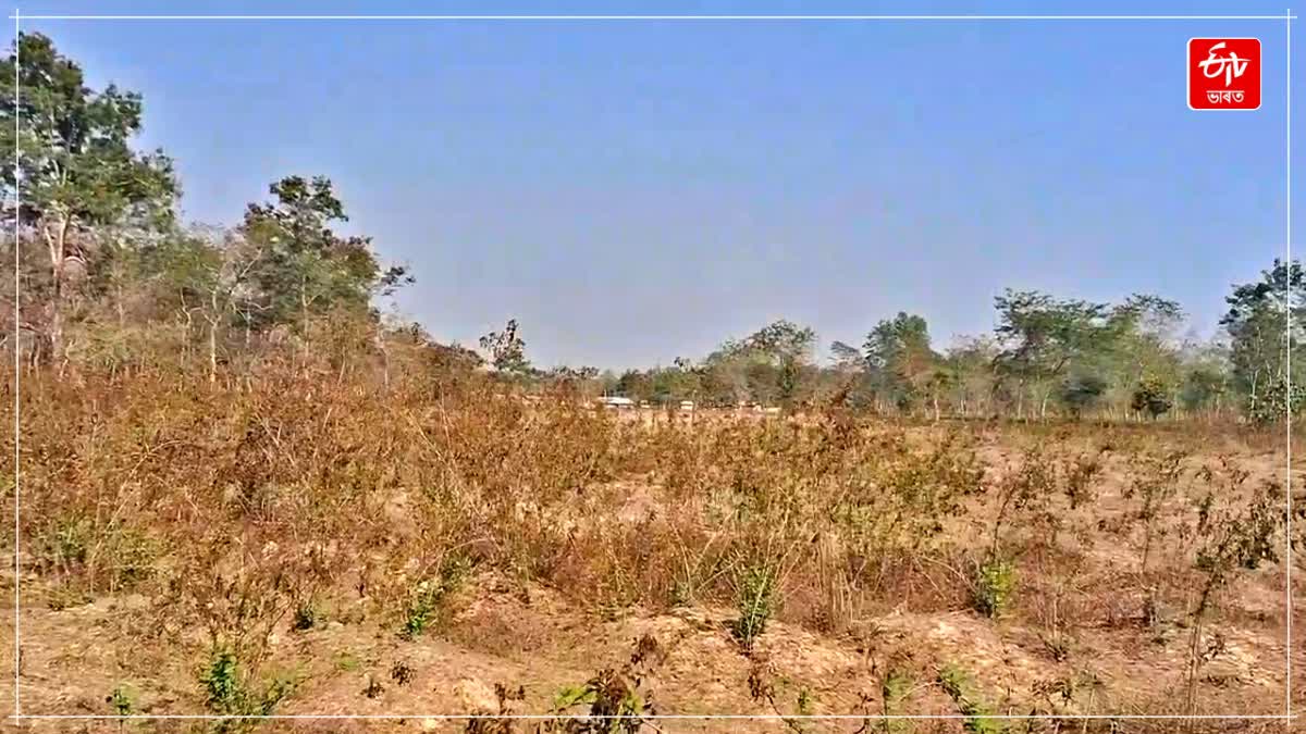 Public demand for establish of a model high school