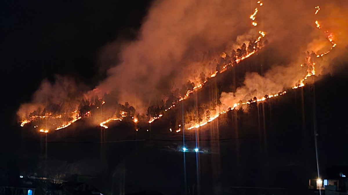 कुल्लू: सर्दियों में जंगलों में आग लगने के 21 मामले हुए रिपोर्ट