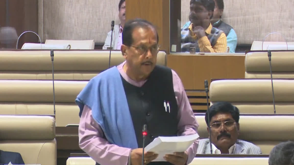 SUPPLEMENTARY BUDGET IN ASSEMBLY