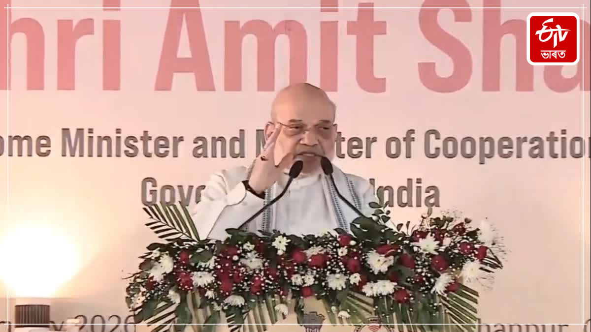 Vibrant Villages Programme to stop migration from border areas, prevent infiltration: Amit Shah