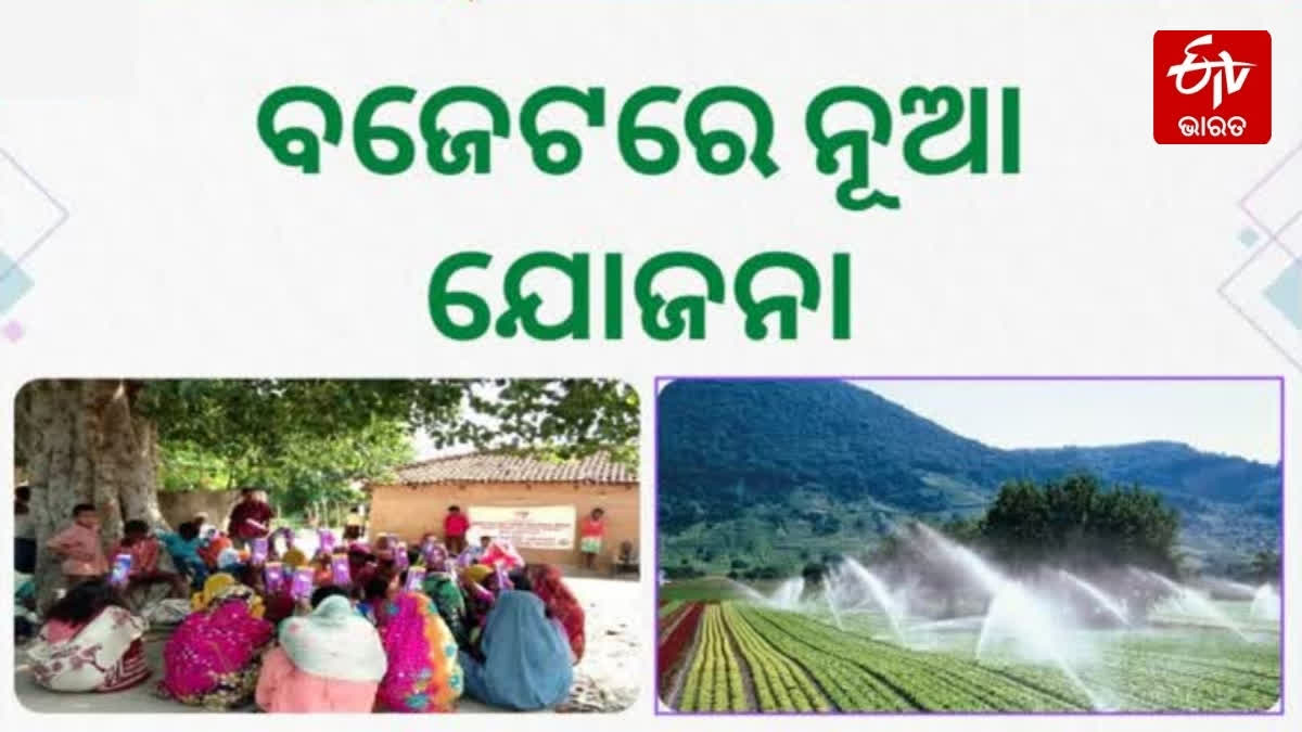 new initiatives in budge