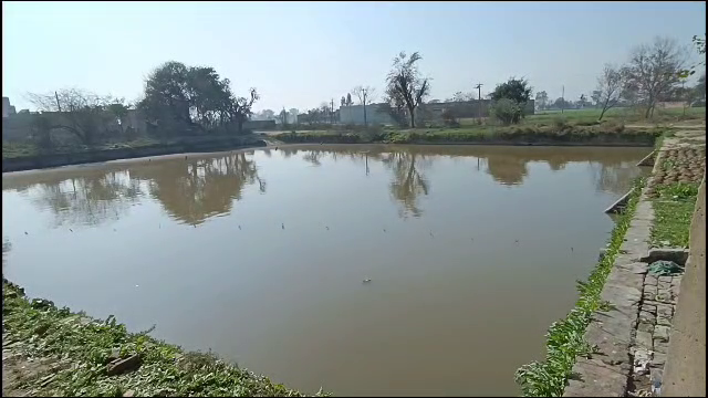 Fish farming at barnala