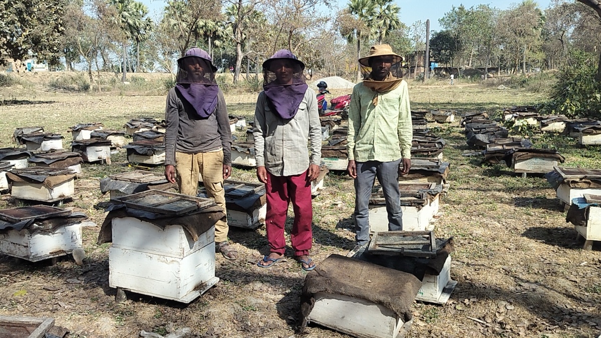 BIHAR MAN IS THE OWNER OF MORE THAN 2 CRORE BEES, EARNING RS 30 LAKH ANNUALLY