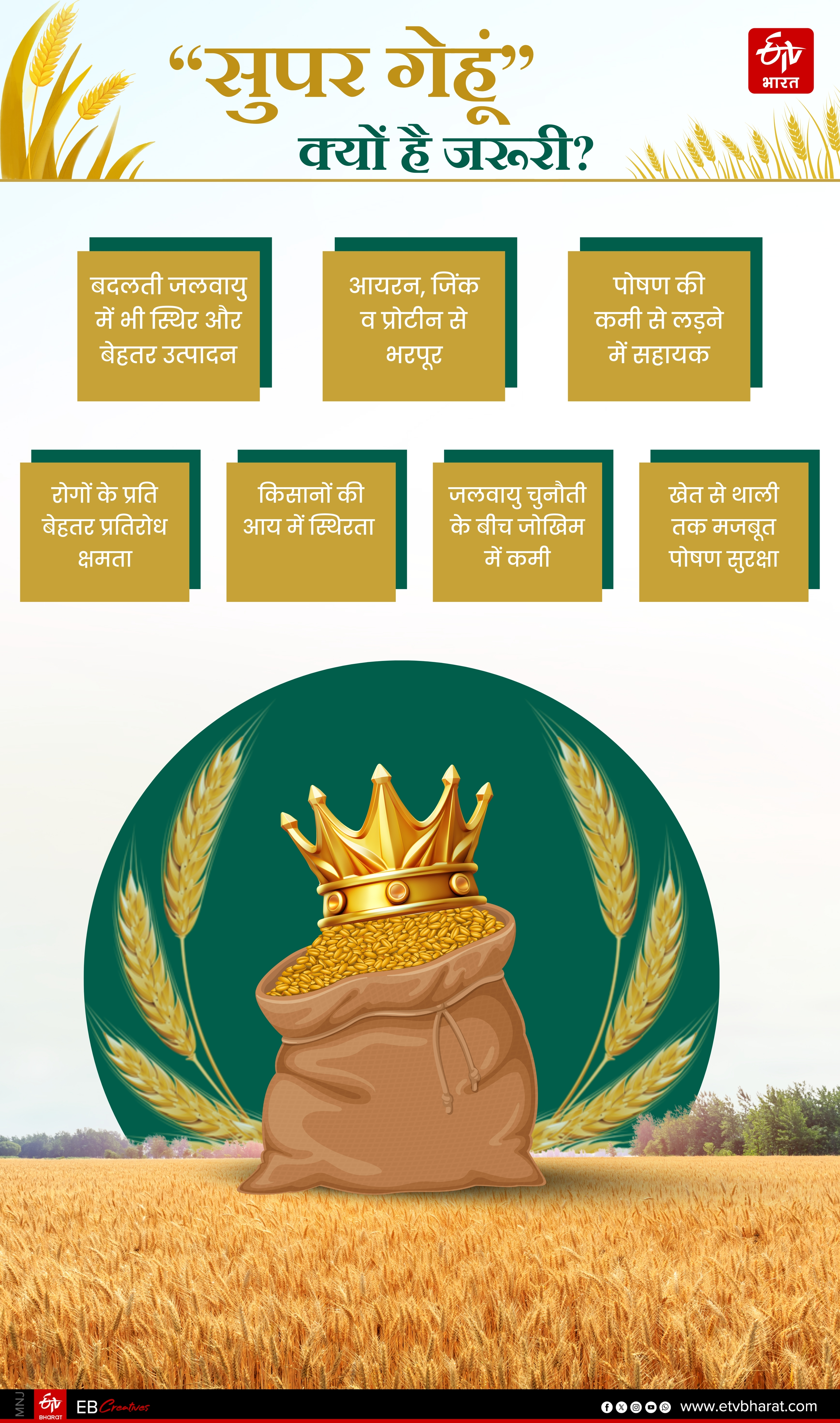 Himachal Super Wheat Production