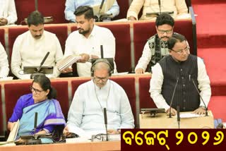 ପୁରୀରେ ଶ୍ରୀଜଗନ୍ନାଥ ସଂଗ୍ରହାଳୟ, ଡିଜିଟାଲ୍ ହୁଣ୍ଡି ସହ ଶାମୁକା ପ୍ରକଳ୍ପ