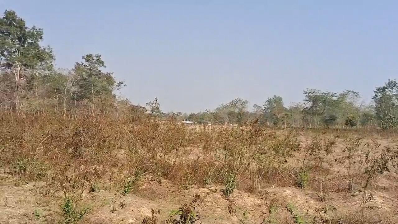 Public demand for establish of a model high school