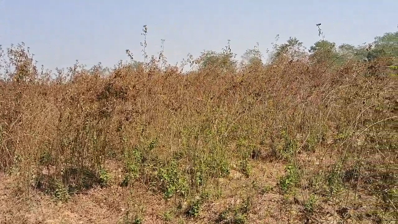 Public demand for establish of a model high school