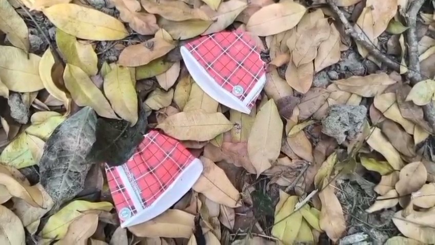 Agarwood Smuggling in Golaghat