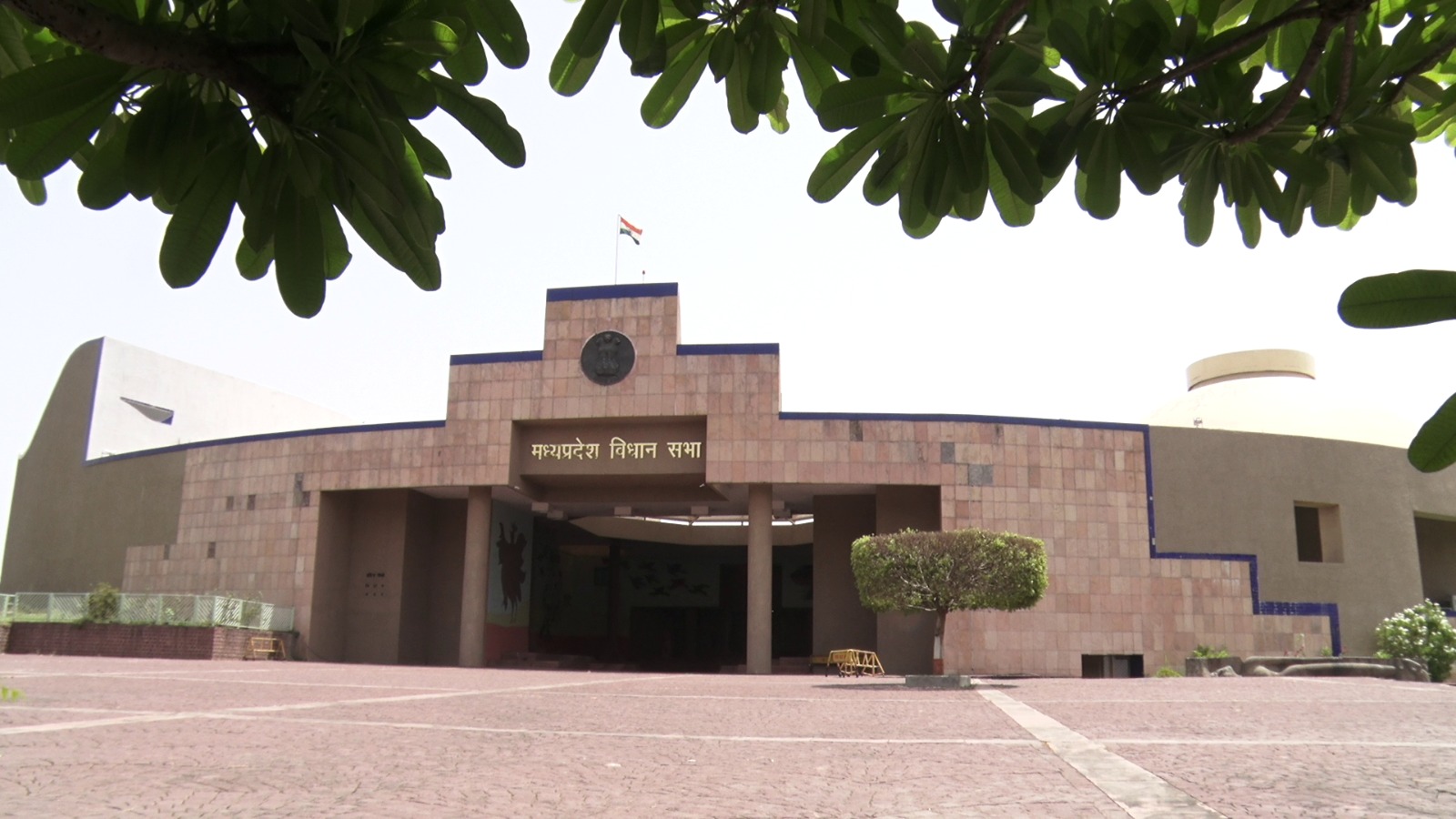 MP Vidhansabha session cow smuggling data