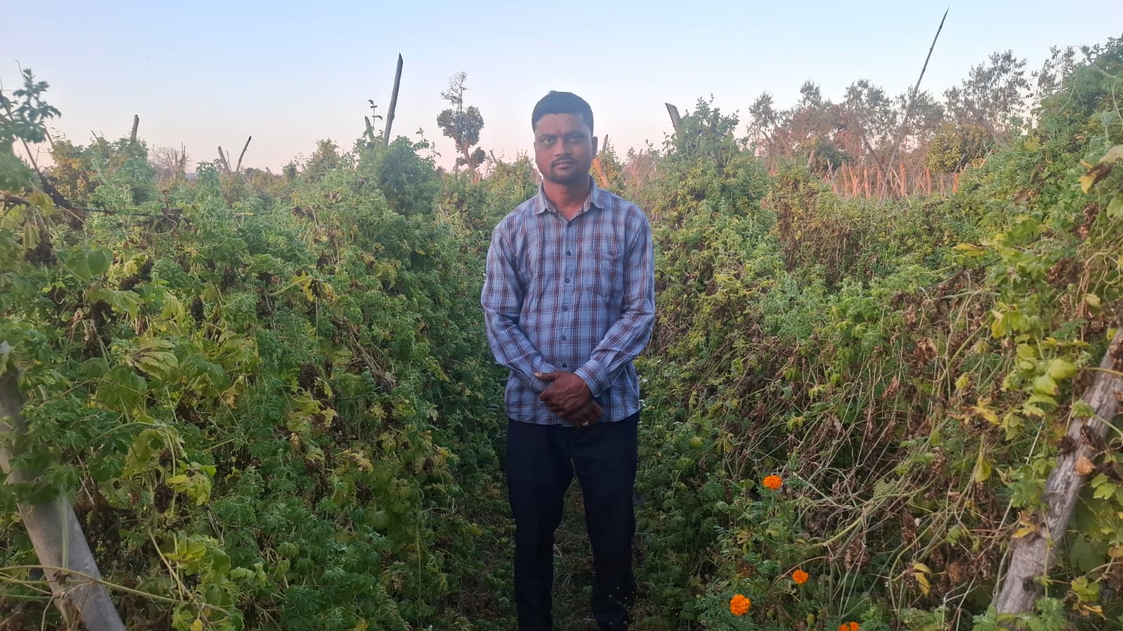 SHAHDOL HITECH HORTICULTURE FARMING