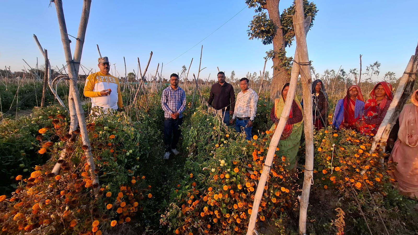 Shahdol Farmer Parasmani Singh