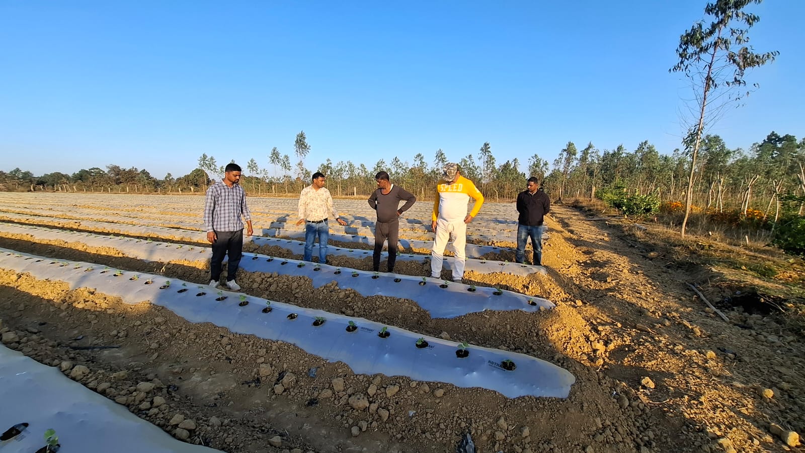 Parasmani Singh Hi Tech Horticulture Farming