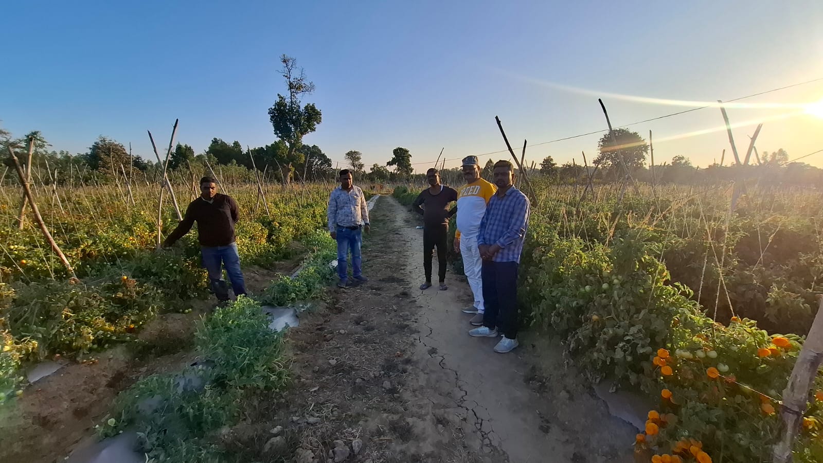 SHAHDOL FARMER Parasmani Singh SUCCESS STORY