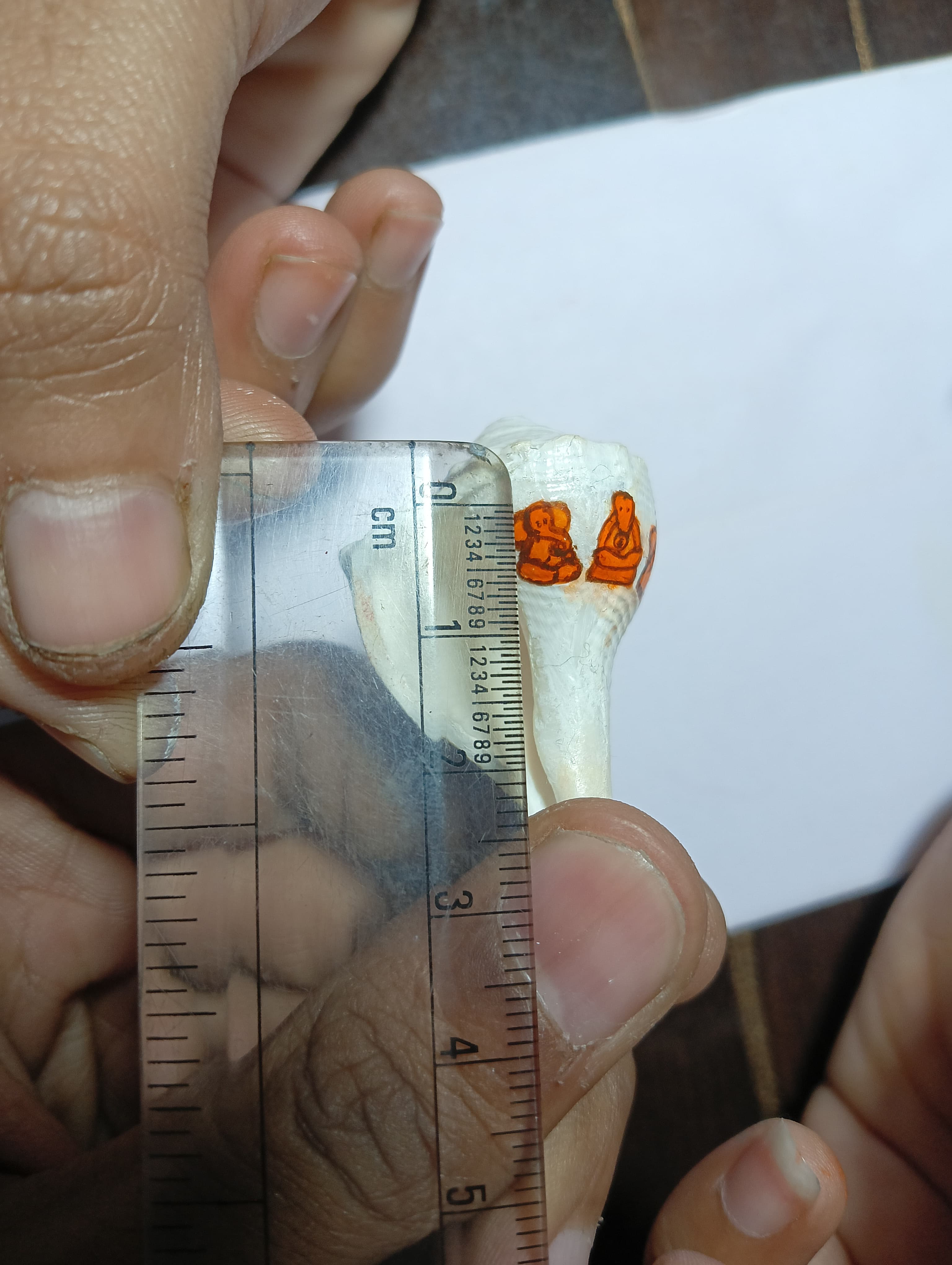 Lord Ganesha on shell