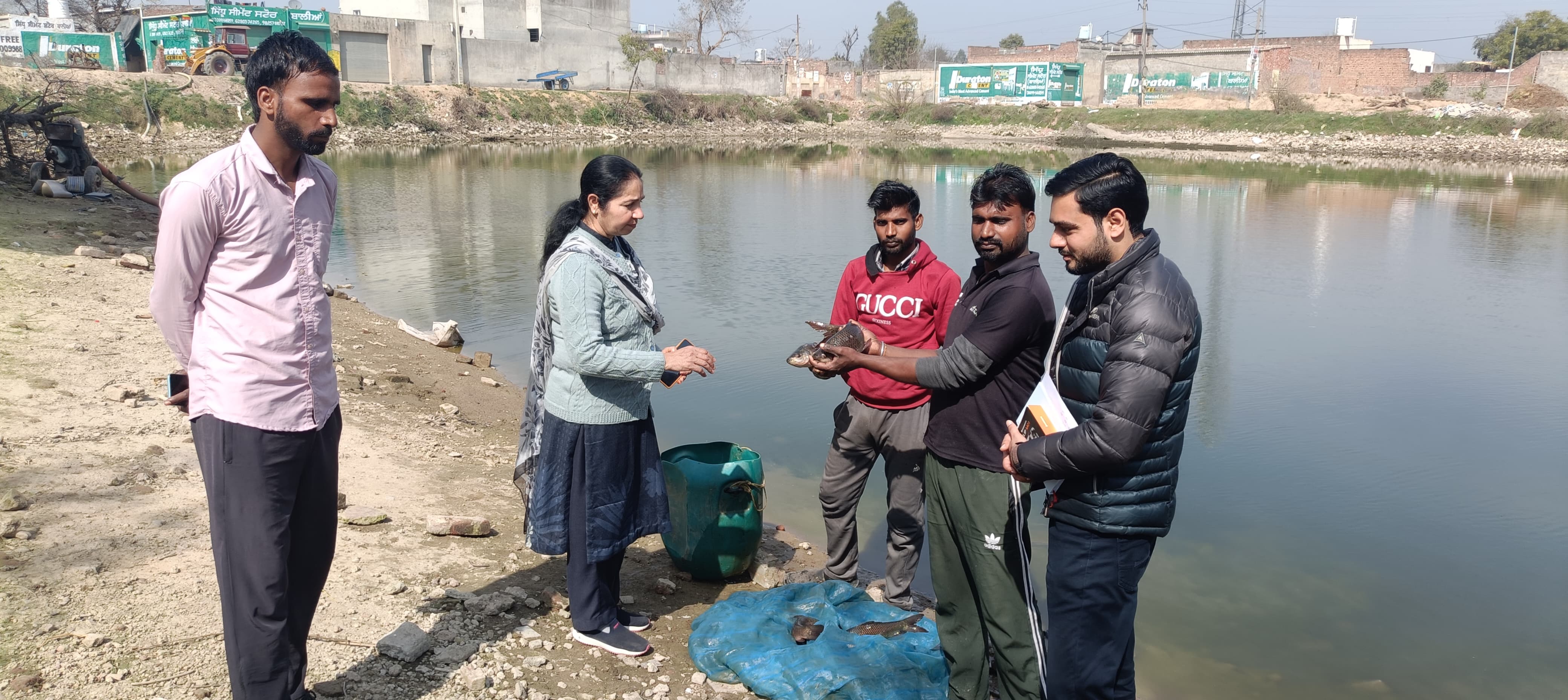 Fish farming at barnala