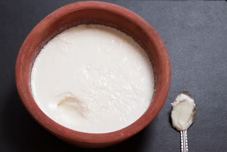 Foods With More Probiotics Than Curd