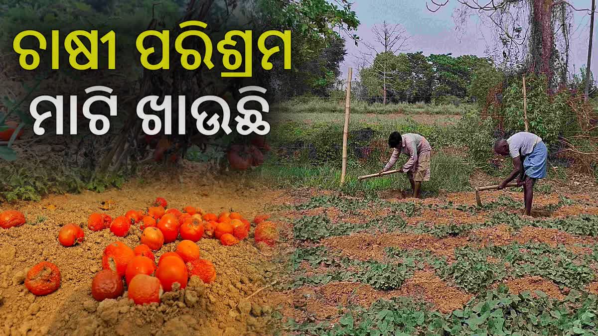 Even After Inauguration Cold Storage facility is Not Functioning In Kendrapara