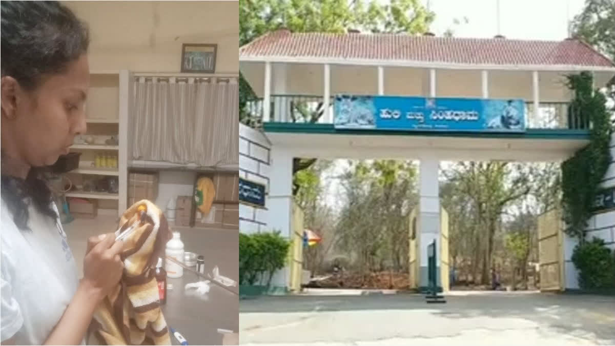 Woman Veterinarian Dies After Hippopotamus Attack At Karnataka's Shivamogga Sanctuary Woman Veterinarian Dies After Hippopotamus Attack At Karnataka's Shivamogga Sanctuary
