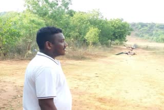 Kanhu Behera one Call 200 Peacocks rush Odisha
