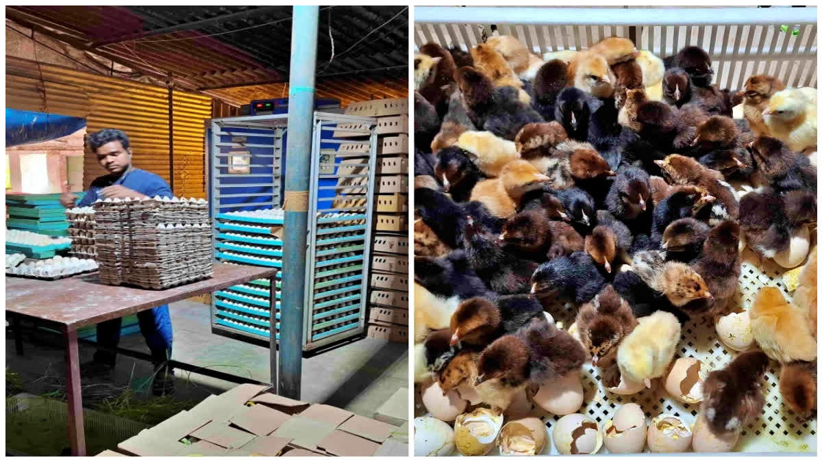 Entrepreneur From Bihar's Bhojpur Turns YouTube Idea Into Thriving Duck And Poultry Empire Worth Rs 2.25 crore