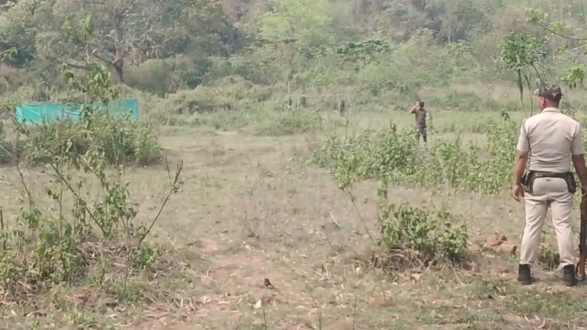 Death of a mother elephant and a newborn elephant calf in Hindola forest, the forest department arrived after 4 days