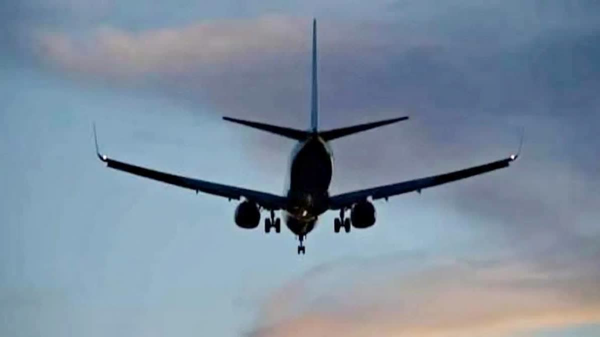 Jamshedpur Authorities Deny Plane Crash Rumors, Call It Forest Fire
